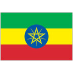 Ethiopian Yirgacheffee Coffee